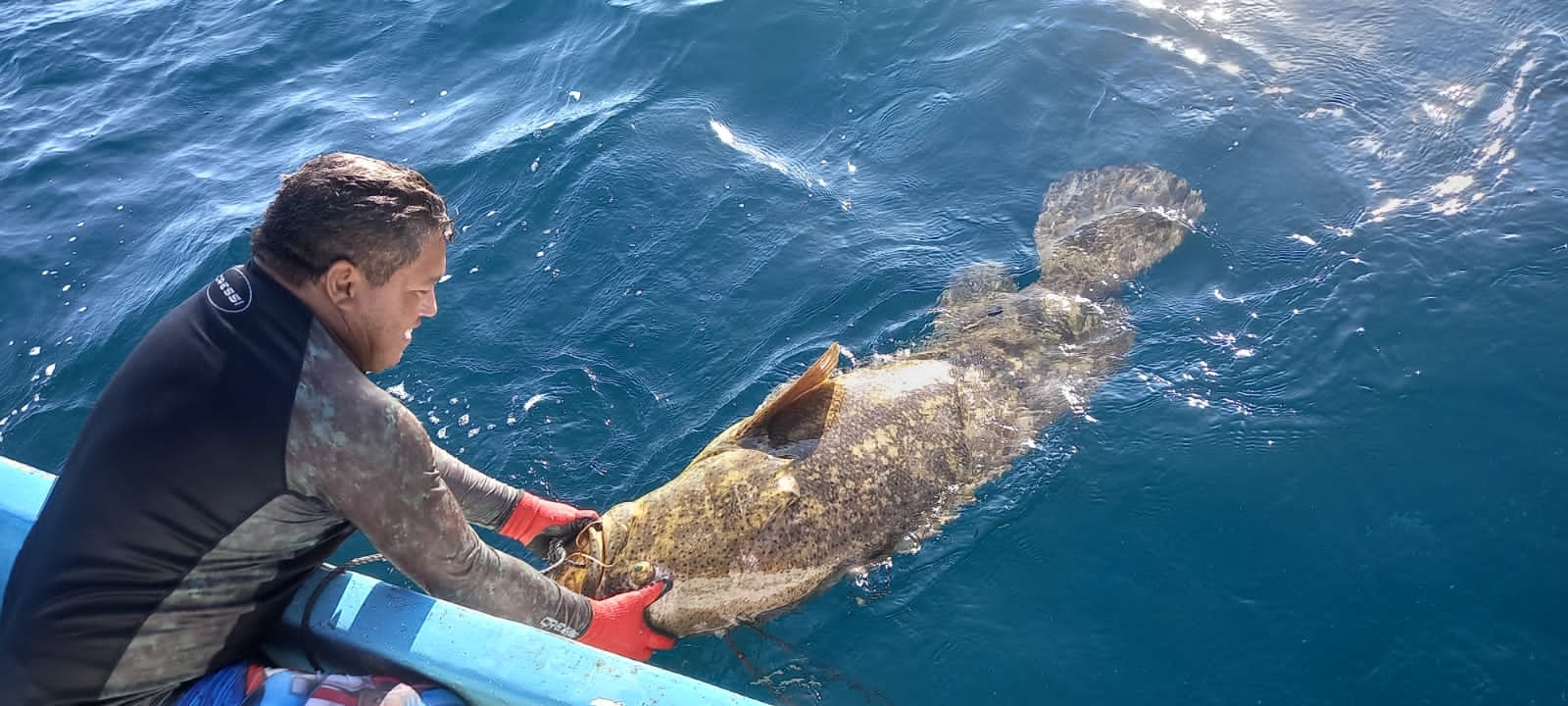 Por segunda ocasión en menos de una semana, Eduardo Díaz Yam y Joaquín Aguiñaga atraparon un enorme pez de la misma especie que el hallado el martes pasado