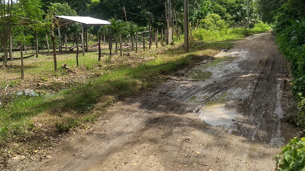 Expendedores denuncian mal estado del camino de acceso al rastro público de Palizada, Campeche