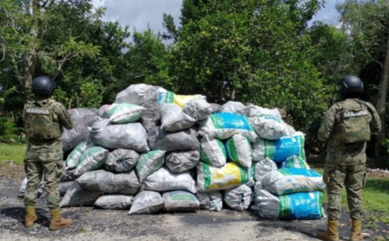 La Semar, Guardia Nacional y Sedena aseguraron toneladas de material maderable ilegal en Quintana Roo