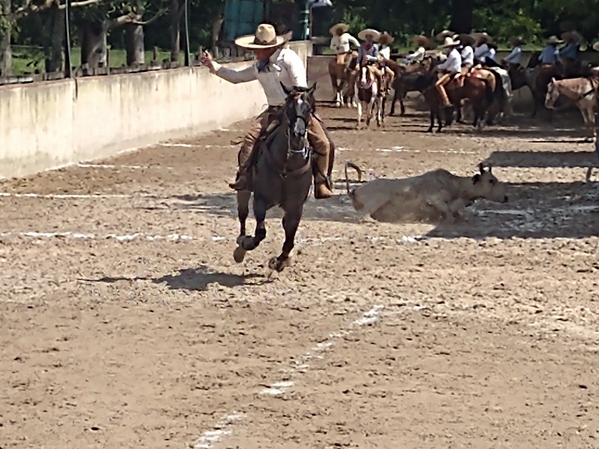 Charros de la Península de Yucatán muestran su destreza en el ruedo