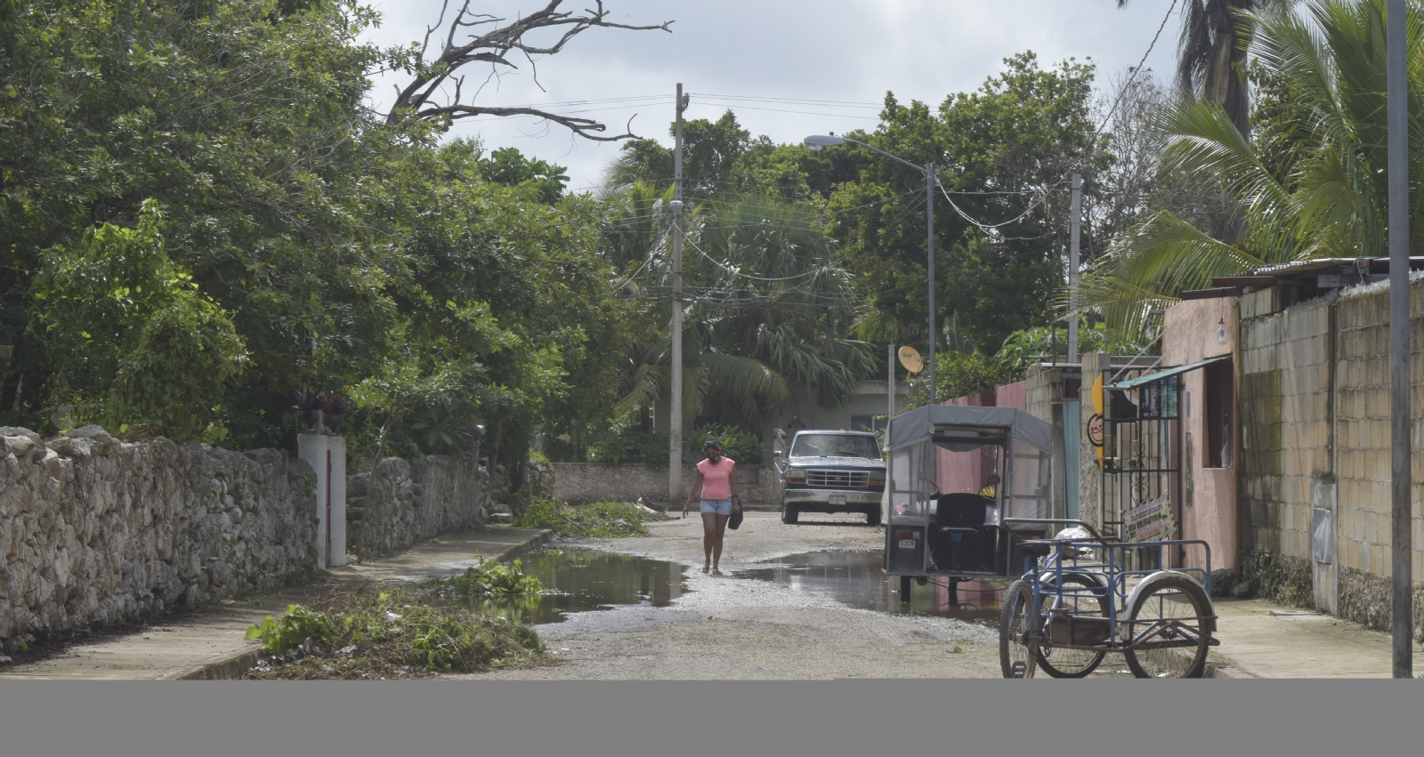 El dictamen deroga la ley y explicó que este tipo de situaciones se da porque los diputados en Yucatán no cuentan con asesores capacitados