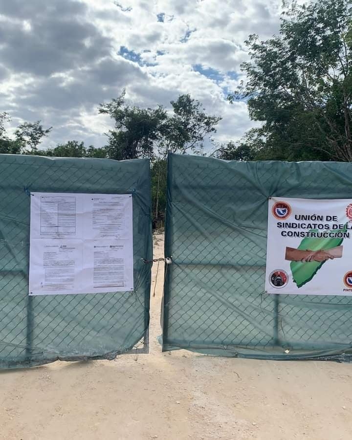 Ambientalistas denuncian deforestación tras proyecto ecoturístico en Palancar, Cozumel