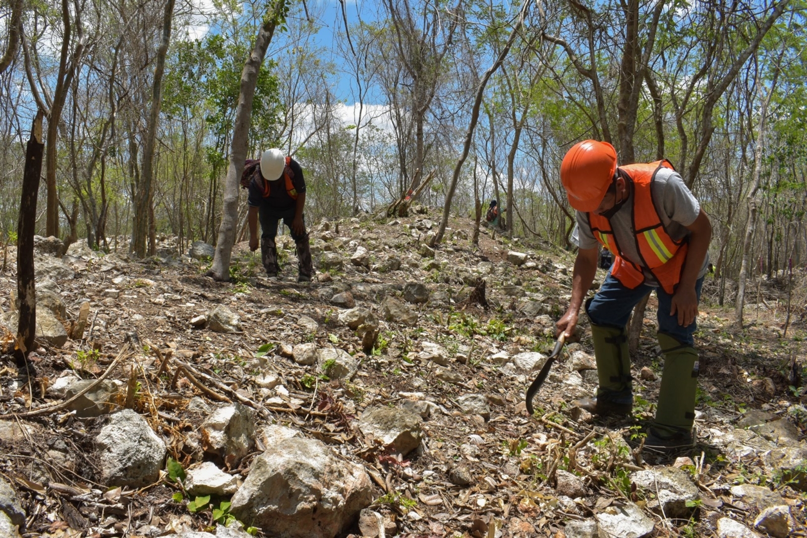 En el tramo labora un equipo de más de 80 operativos arqueológicos en conjunto con el Instituto Nacional de Antropología e Historia para las tareas de salvamento