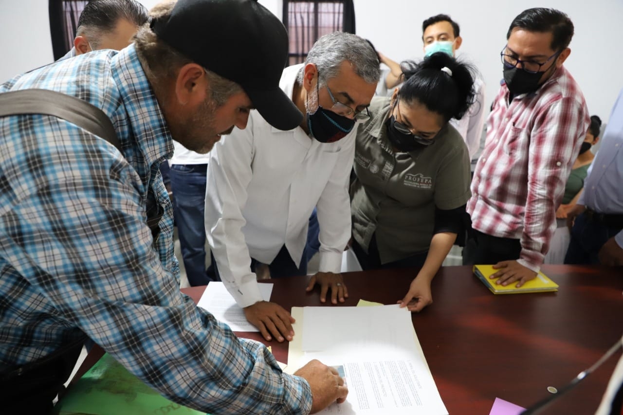 Menonitas se defienden ante críticas por deforestación de la selva en Campeche