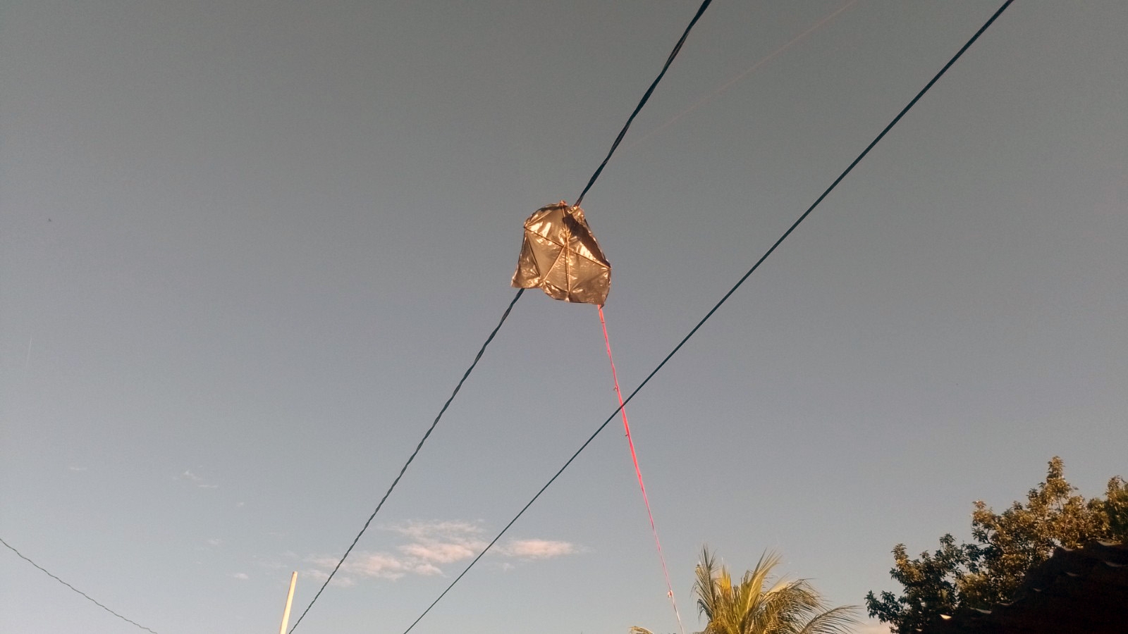 Papagayos, peligro para el cableado eléctrico en Seyé, Yucatán, aseguran pobladores