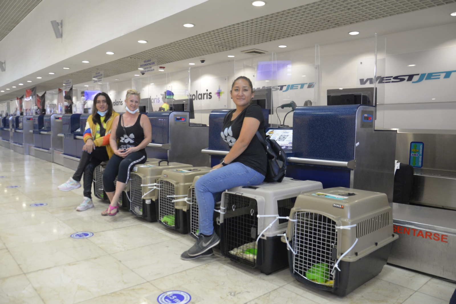 Los lomitos fueron documentados para poder subir al avión