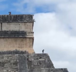 Perro sube a la pirámide de Chichén Itzá e infringe reglamento del INAH