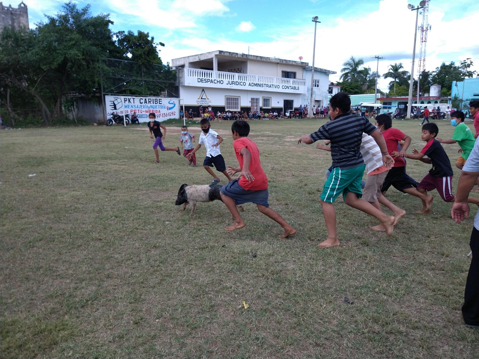 Cochino encebado, el tradicional juego entre pobladores de Peto, Yucatán