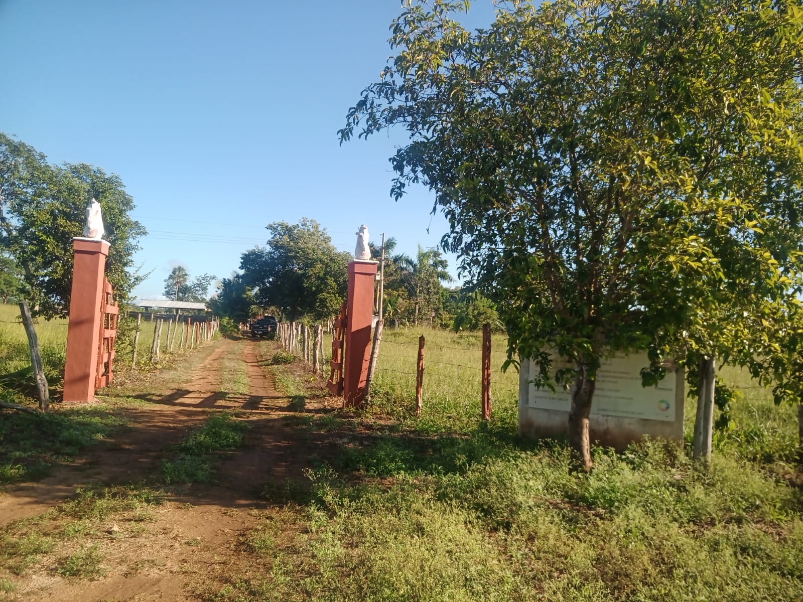 Dueño de un rancho halla a su empleado muerto en Tizimín