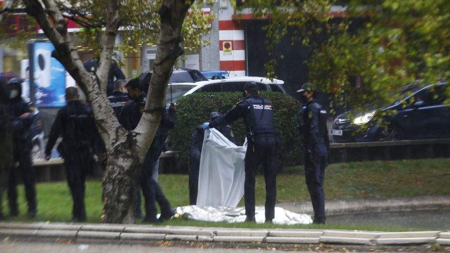 El joven se encontraba desnudo y minutos antes de matarse, estaba ocasionando disturbios en la Plaza Roma de Zaragoza