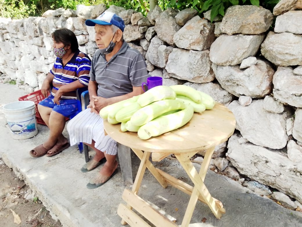 Abuelitos de Yobaín, Yucatán, dependen de su venta de pepinos para sobrevivir