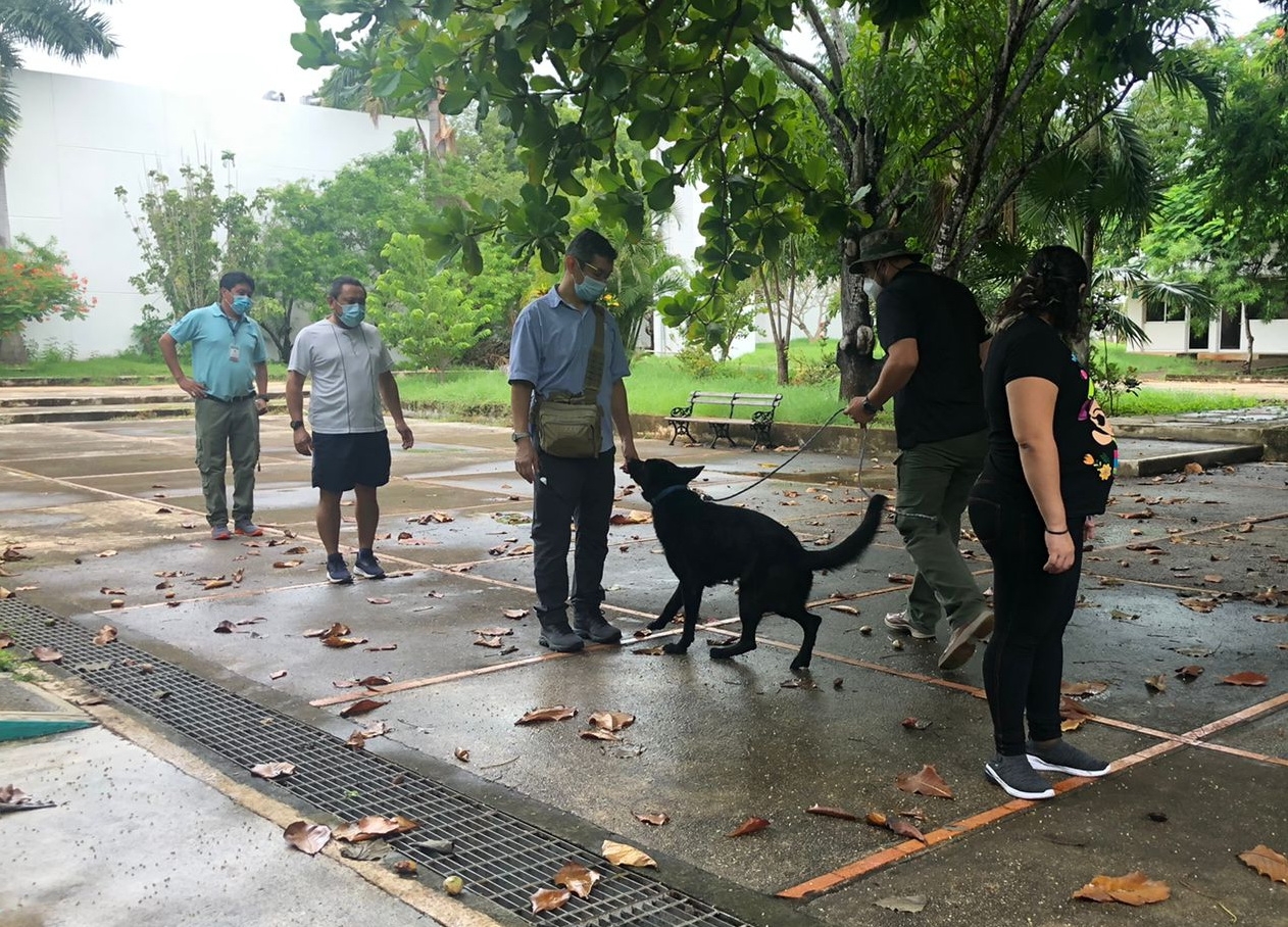 Equipo canino se suma a la lucha contra el COVID-19 en Yucatán