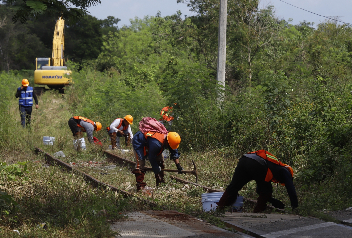 Hallan más de 17 mil vestigios arqueológicos en la ruta del Tren Maya