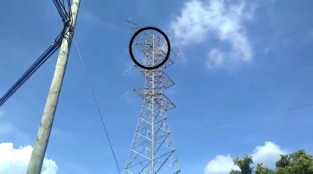 Mujer intenta suicidarse desde una torre de la CFE en Ciudad Caucel: VIDEO