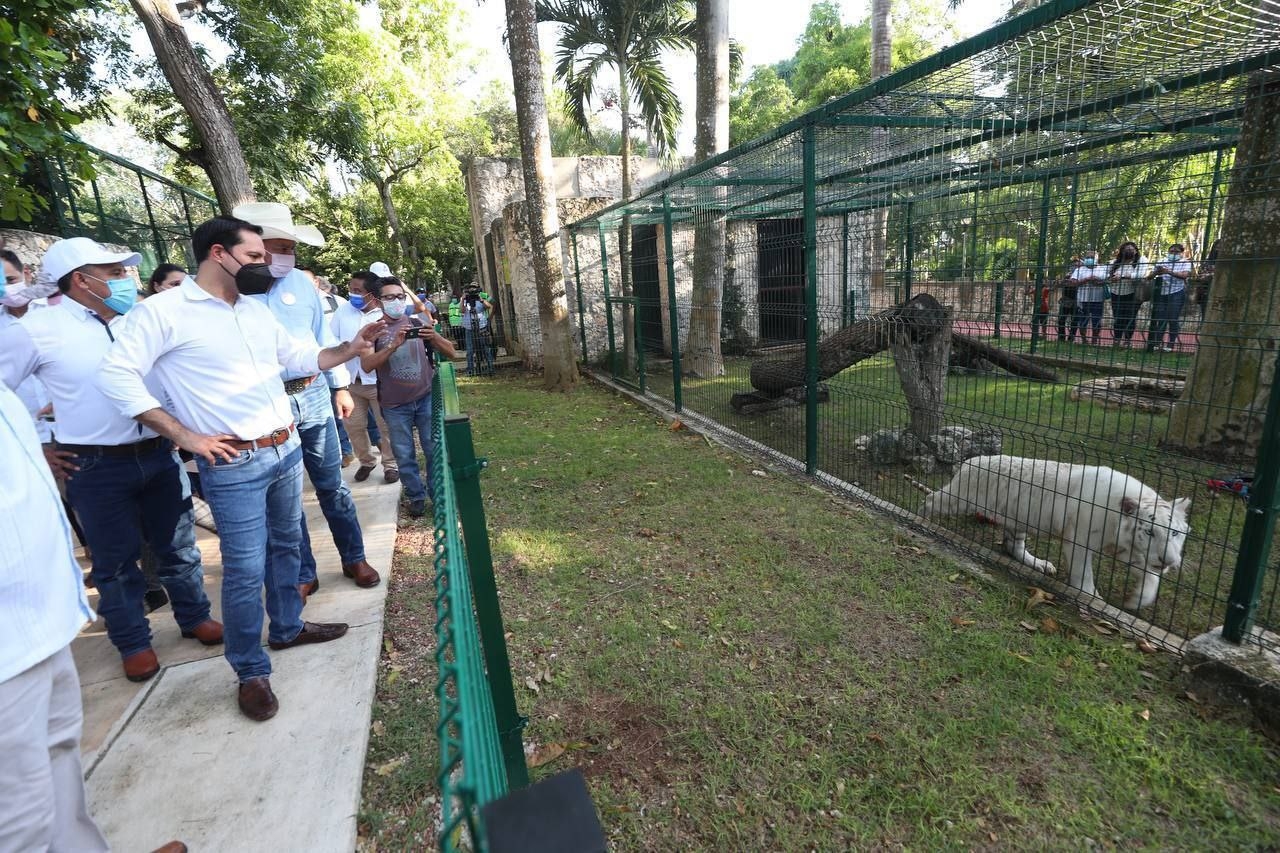 EL gobernador Mauricio Vila viajará con la secretaria de Desarrollo Sustentable Sayda Rodríguez