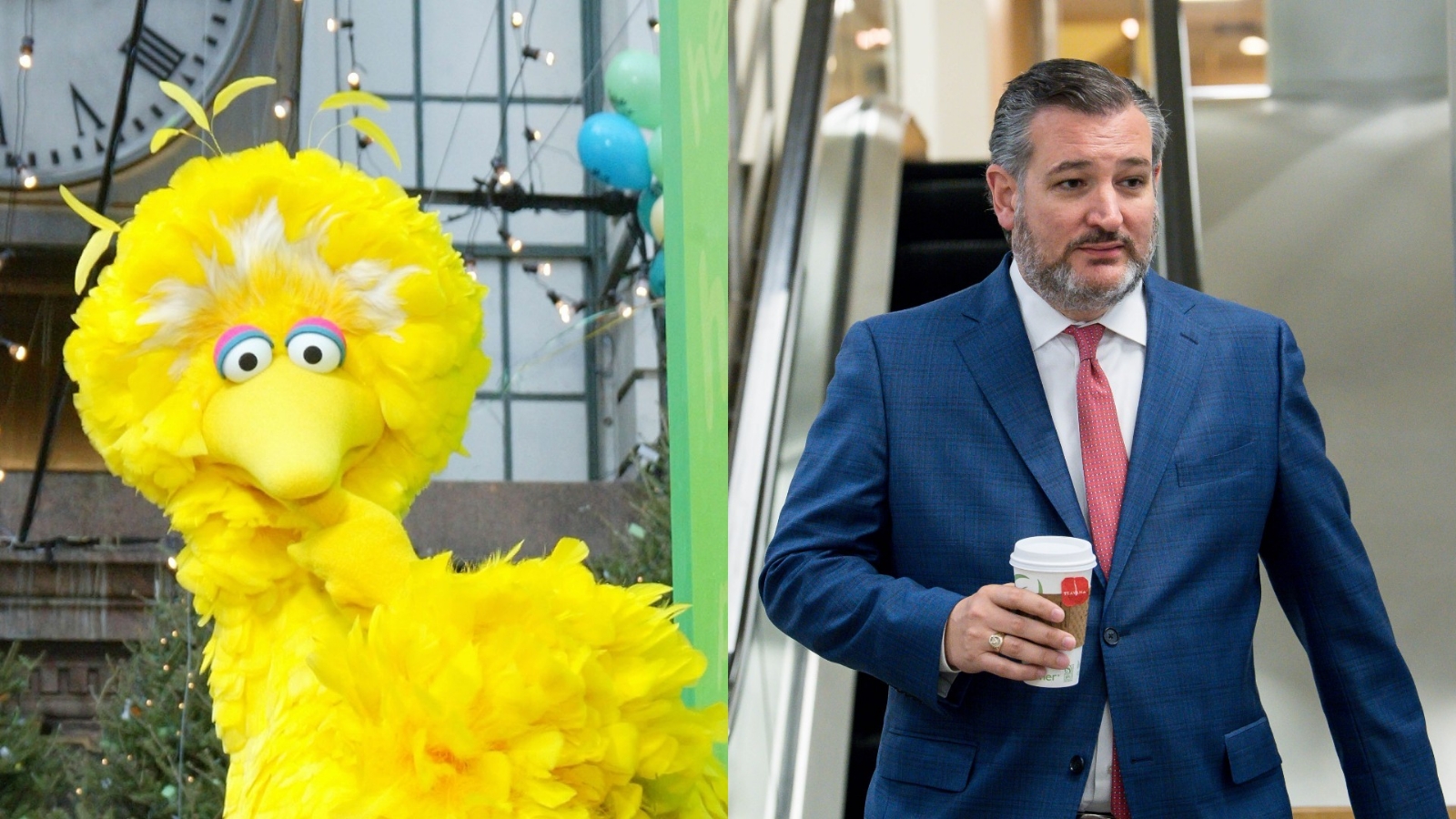 Ted Cruz condena a Big Bird, de Plaza Sésamo, por promover vacunas anticovid para los niños