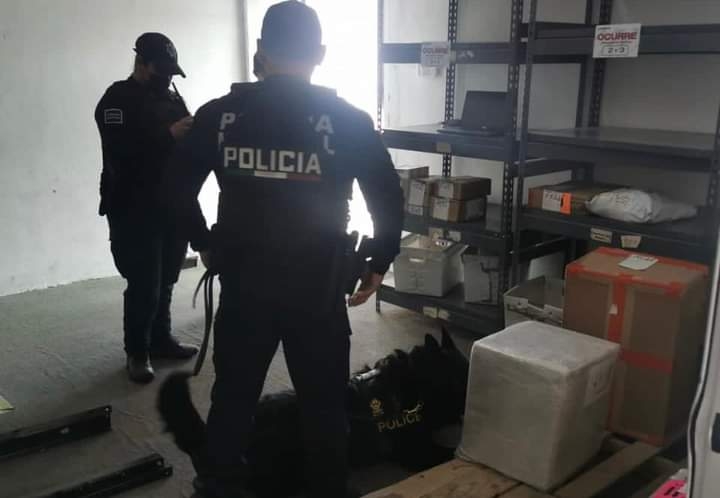 El elemento de cuatro patas, “Kano” detectó la caja con siete paquetes de droga