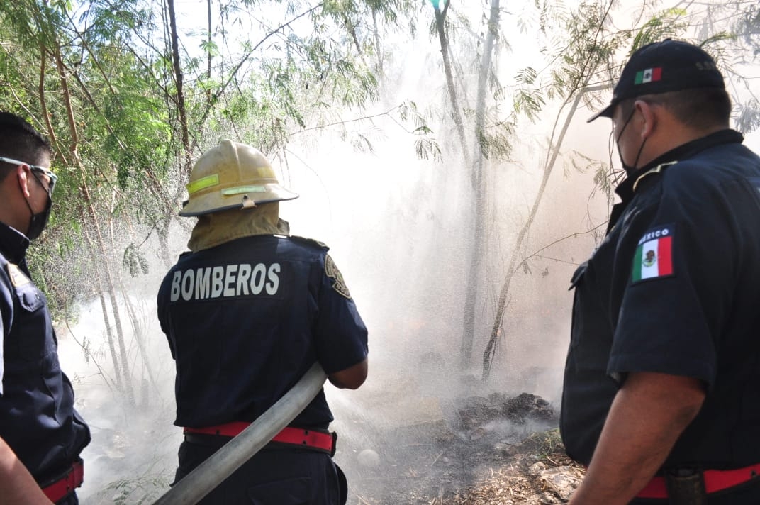 El cuerpo de bomberos logró apagar el incendio antes de que creciera