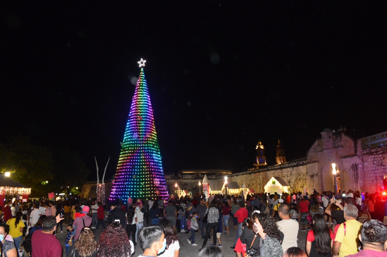 El árbol de más de 30 metros de altura atrajo a diversos campechanos que en su afán de ver el espectáculo de luces y adornos