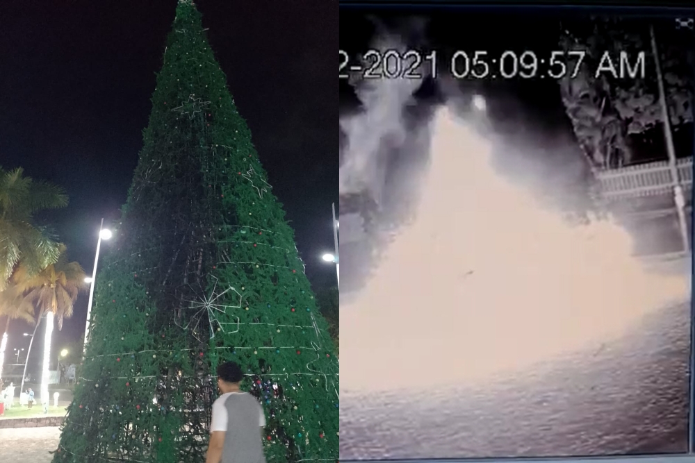 Captan momento en que incendian el árbol navideño del Congreso de Quintana Roo: VIDEO