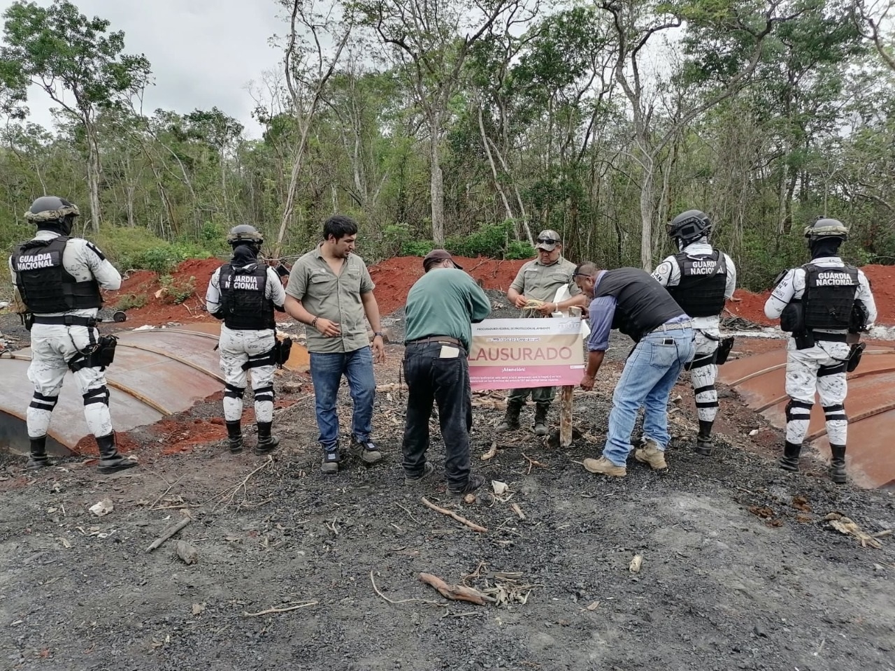 Alcalde de Hopelchén acusa a extranjeros de traficar con madera hasta China