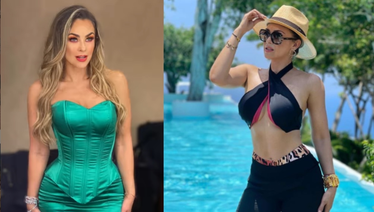 Así es la lujosa mansión de Aracely Arámbula en Acapulco: VIDEO