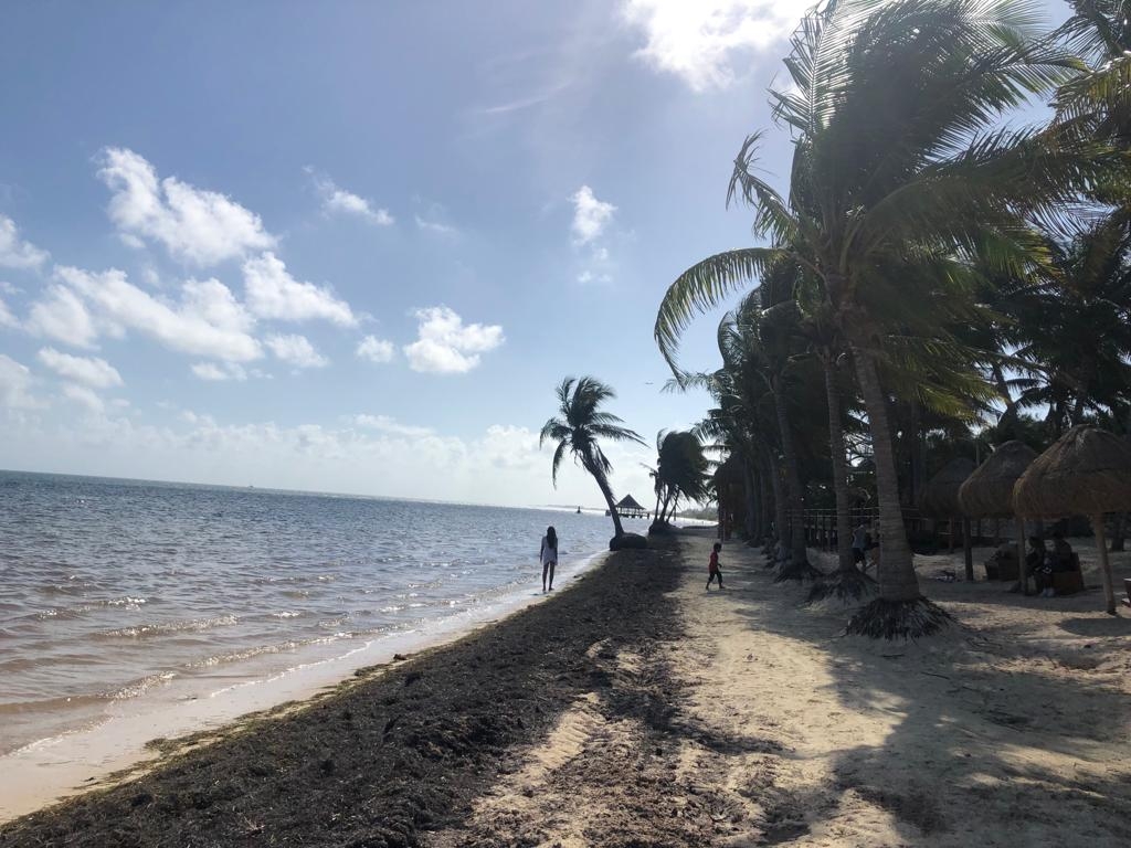 Playa Coral uno de los arenales con acceso a mascotas se encuentra en total descuido