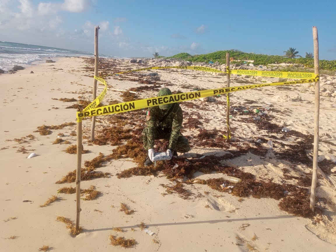 Los tabiques fueron traslados hacia playa del Carmen donde quedaron a disposición de la autoridad competente