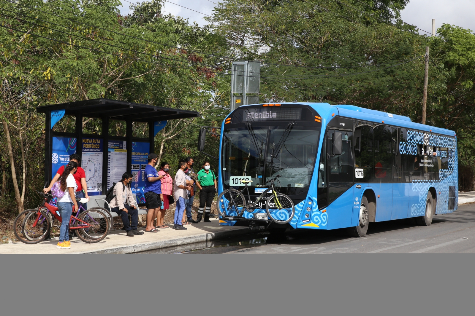 Ruta 'Va y Ven' en Mérida: Usuarios lamentan vandalismo en unidades