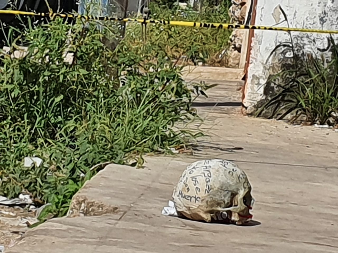 Según los vecinos el “cráneo” tenía varias horas asentado en ese lugar, pero no se habían fijado con atención