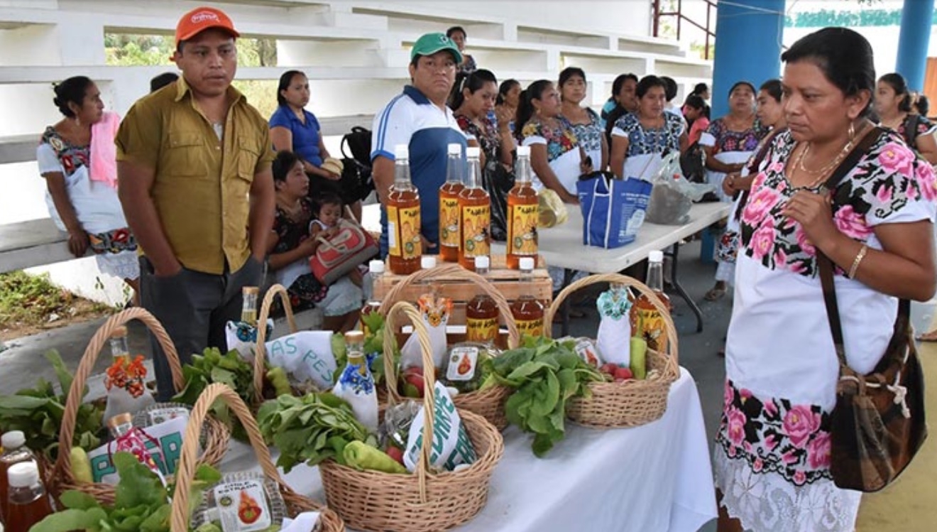 Bacalar, el municipio con más trabajos informales en Quintana Roo: Cepal