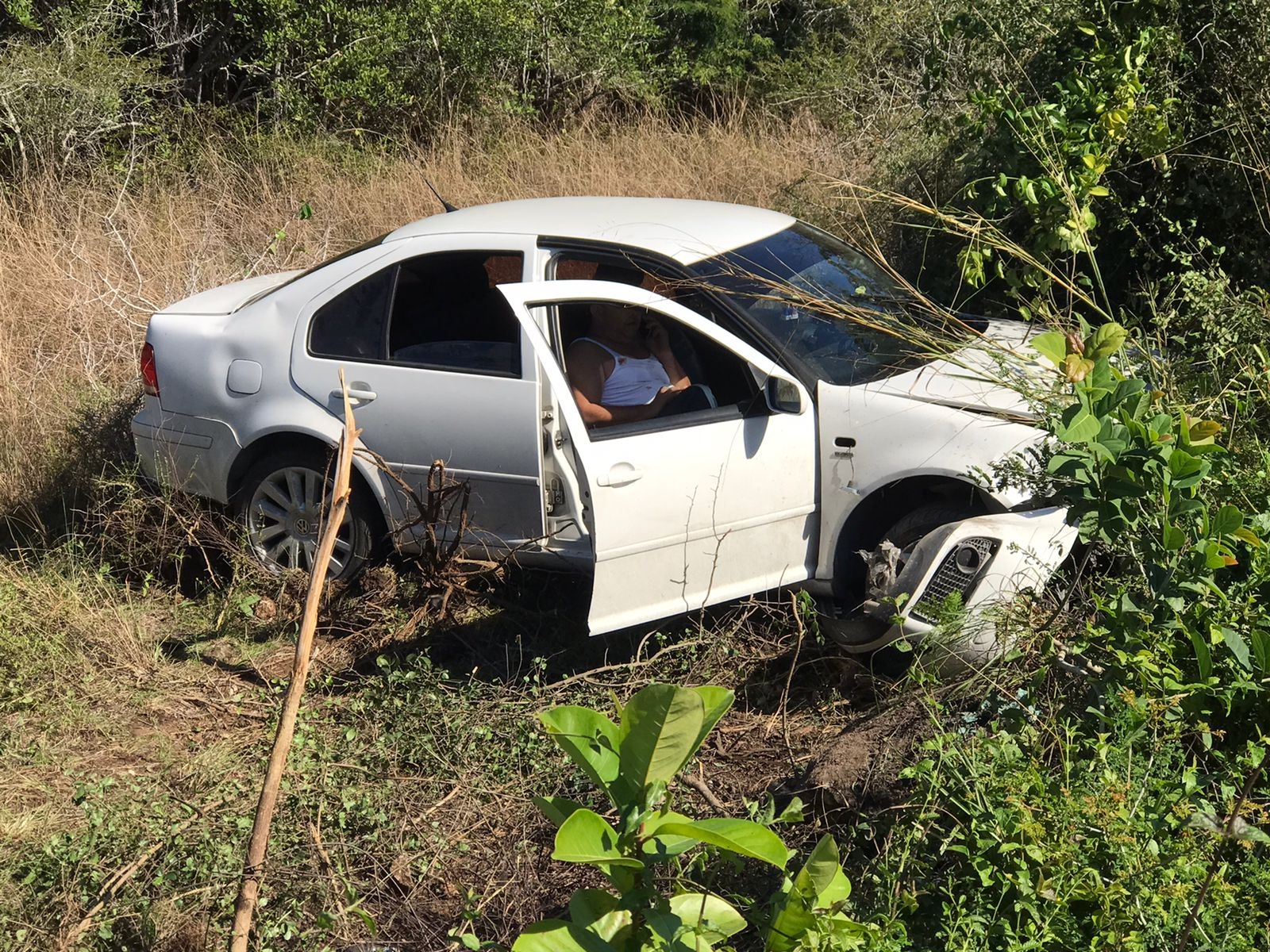 Automovilista resulta lesionado tras perder el control y salirse de la carretera Cancún-Mérida