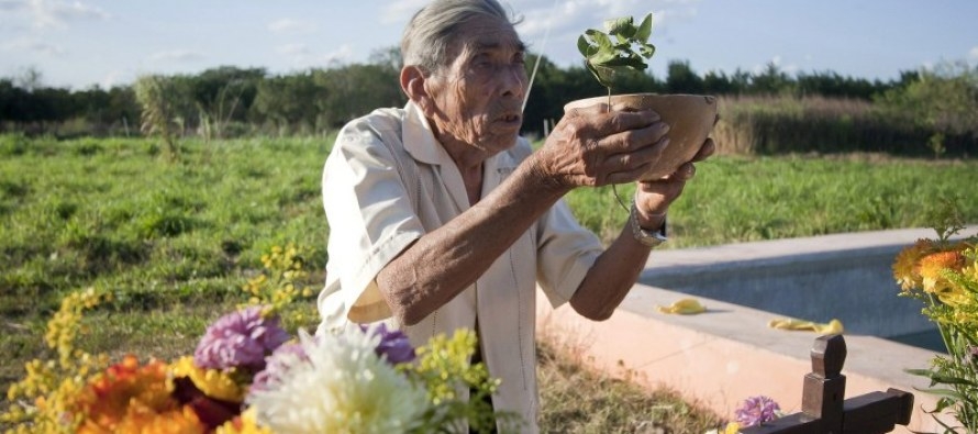 Saká, bebida sagrada maya para proteger las milpas en Maní, Yucatán