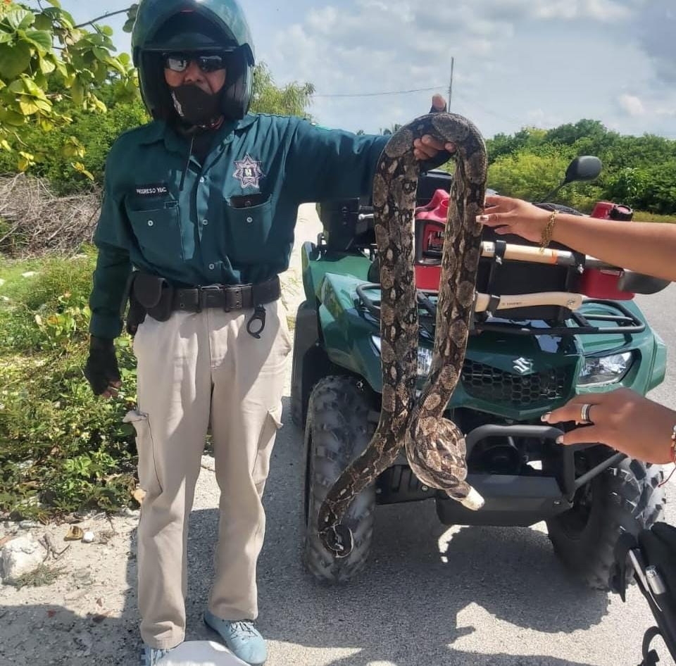 Despiden a policía de Progreso por presunta violencia de género