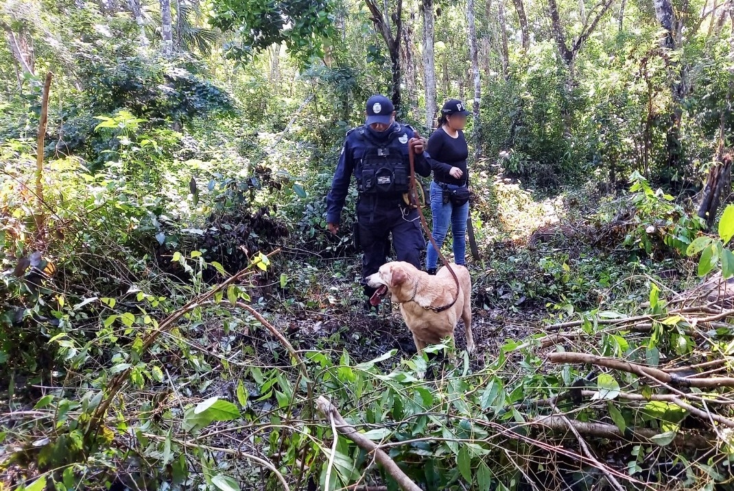 Montan operativo de búsqueda para localizar a hombre desaparecido en Puerto Morelos