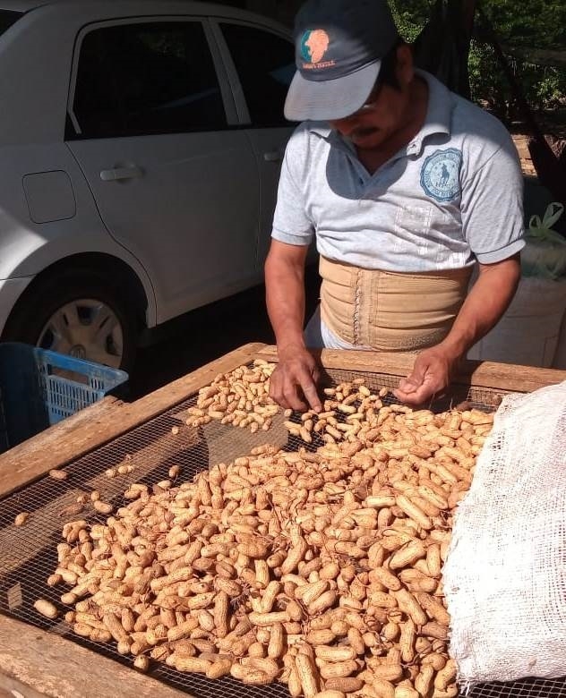 Carlos Matos aseguró que los productores sólo cuentan con 40% de su cosecha