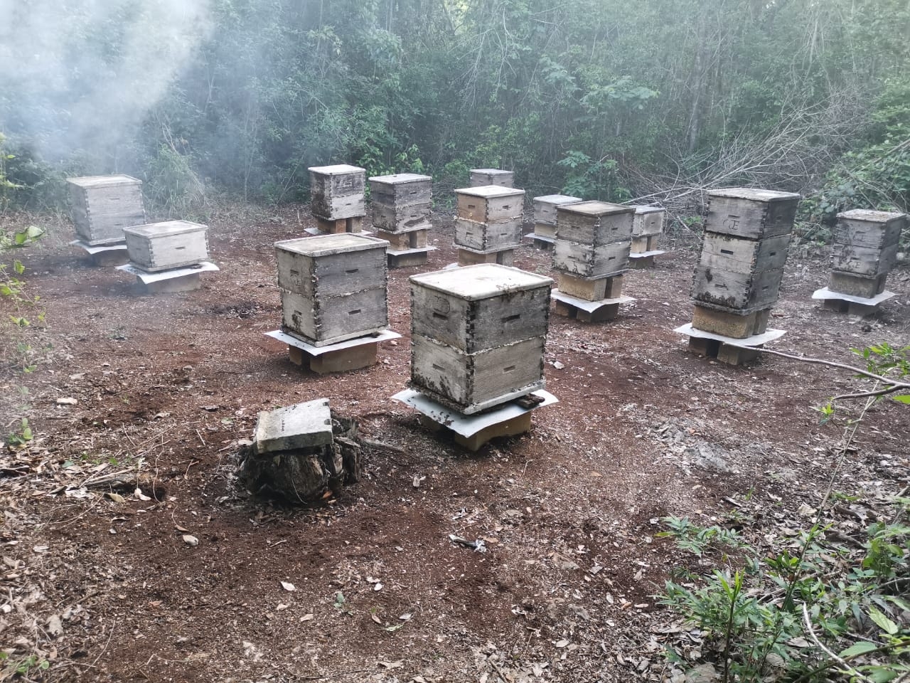 Los fuertes temporales del 2020 causaron inundaciones que afectaron las colmenas de los apicultores