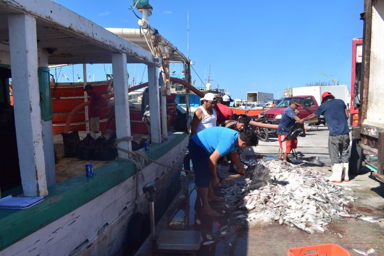 Pescadores de Progreso preparan sus embarcaciones para zarpar en busca de mero