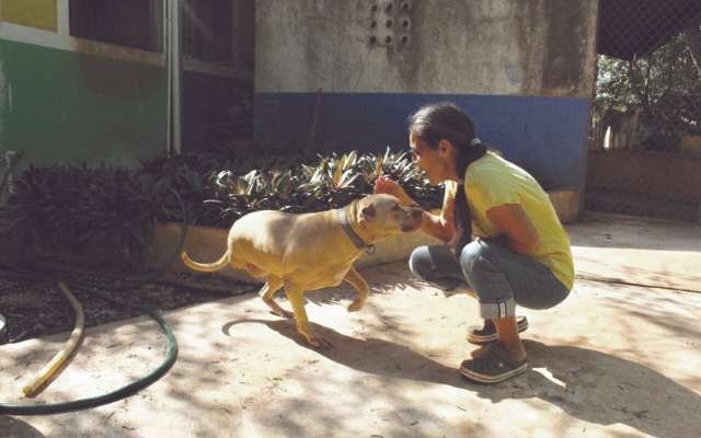 La activista dijo que el reciente caso de un perro baleado y muerto no es aislado