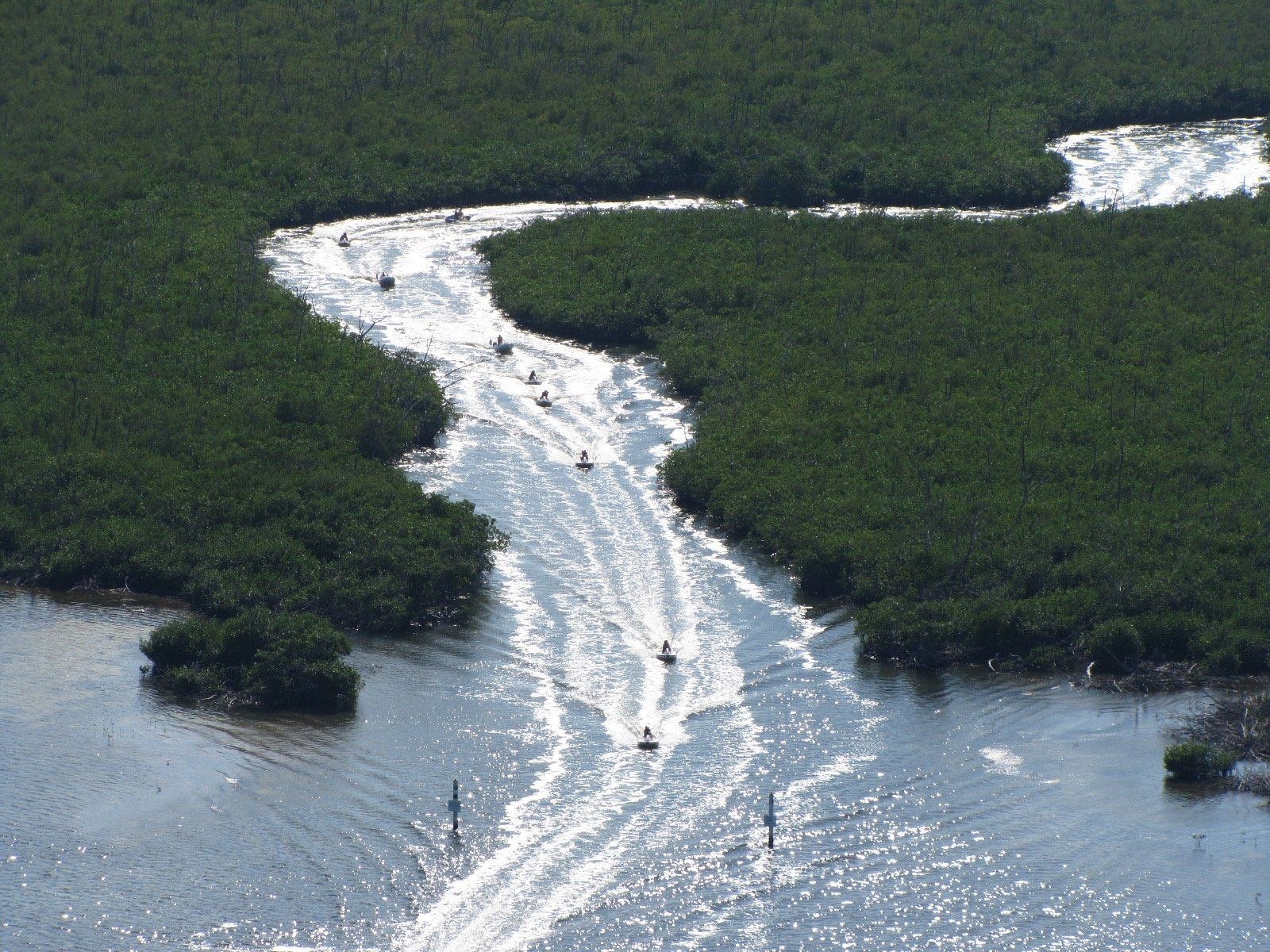 Campeche: Oceana México reprueba a la Biósfera de Los Petenes por trabajos de conservación