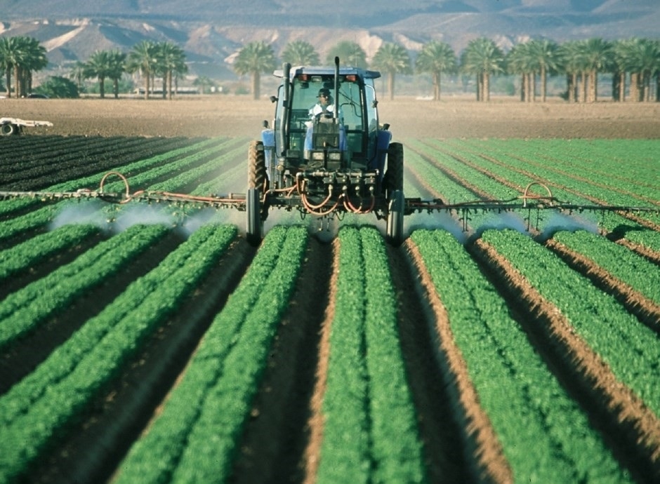 Uno de los principales daños colaterales es la aniquilación de abejas