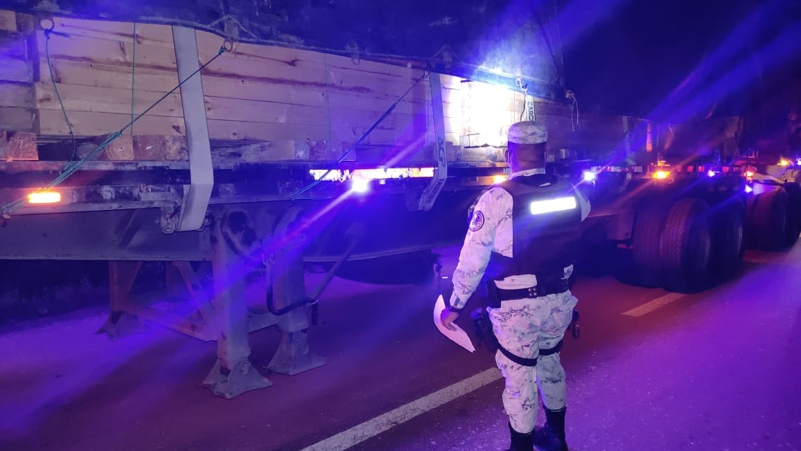 Guardia Nacional asegura más de 9 mil piezas de madera de pino en Ciudad del Carmen