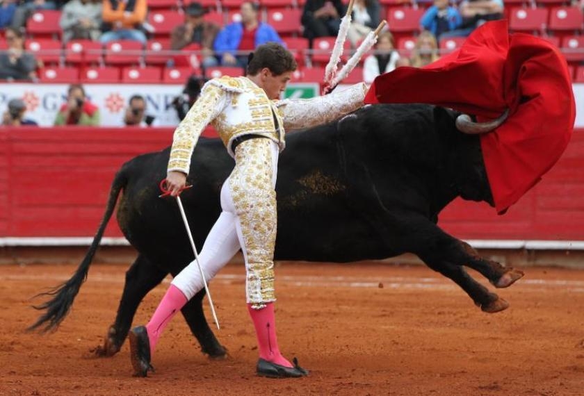 ¿Cómo castigarán a quienes realicen corridas de toros en la CDMX?