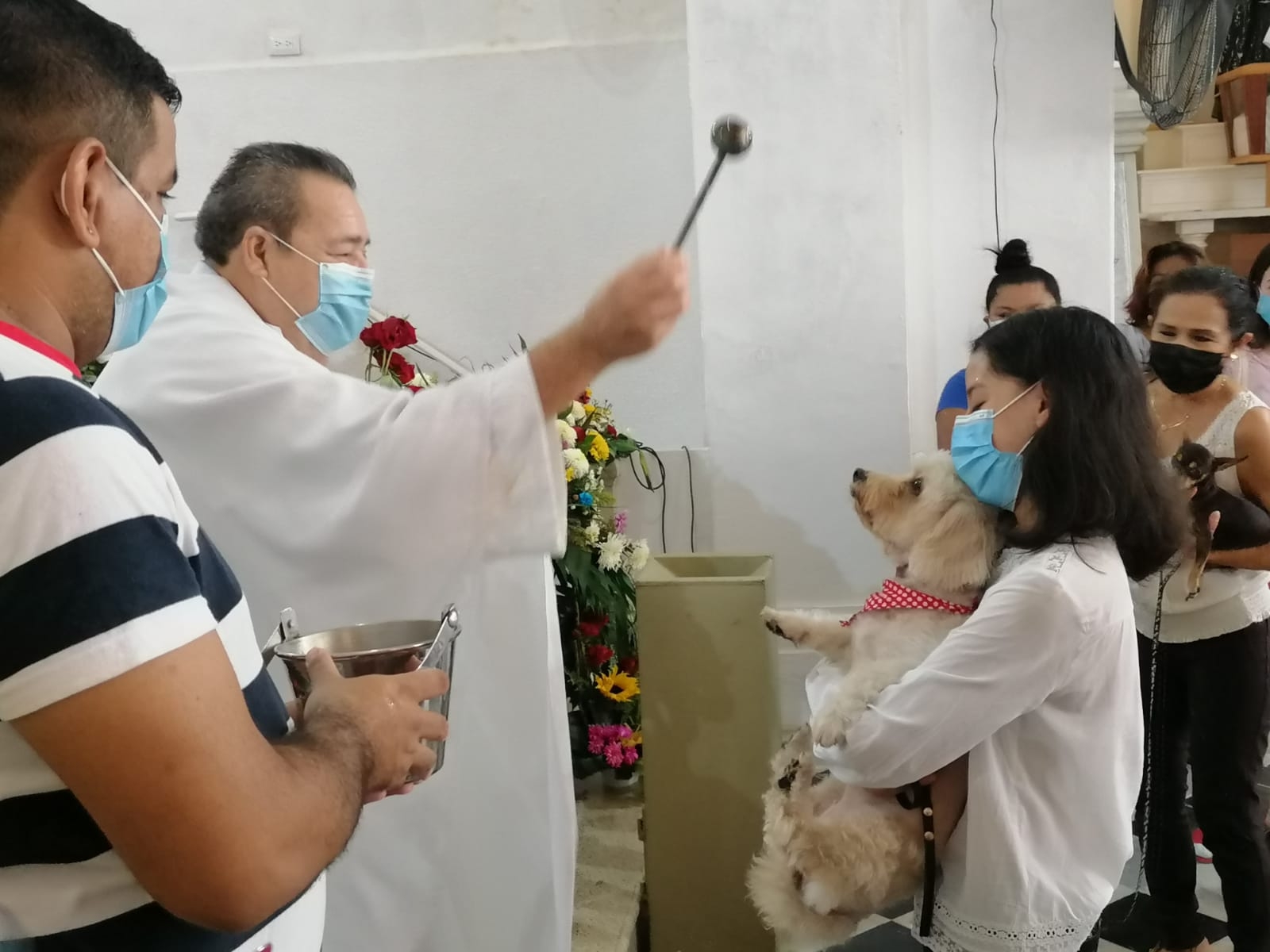 Los feligreses que acudieron al santuario Mariano entienden que las mascotas jamás suplirán el cariño y afecto de un familiar