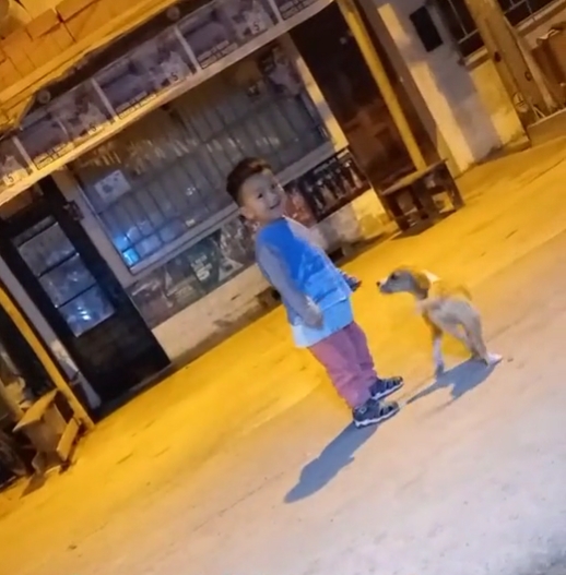 Perrito abandonado y niño se hacen amigos; video se vuelve viral en TikTok