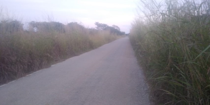 Pobladores piden mantenimiento en la carretera Hecelchakán-Bolonchén