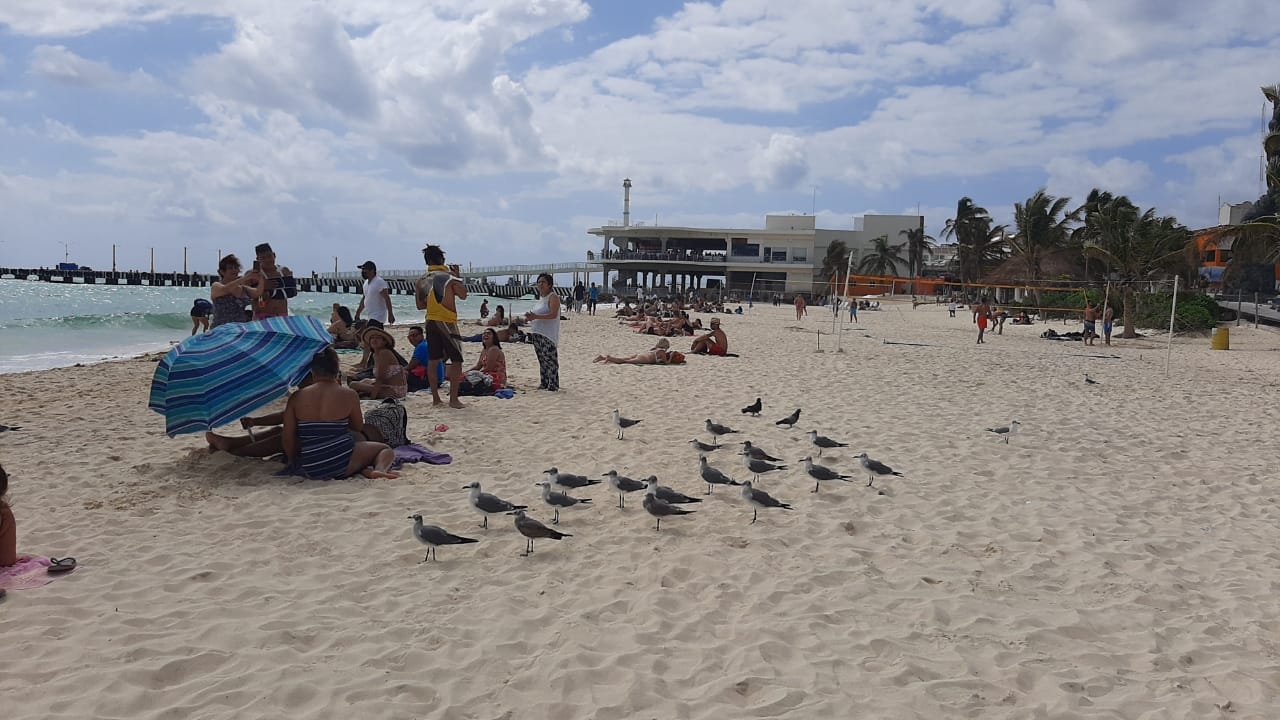 Empresarios de Playa del Carmen lamentan medidas restrictivas canadienses