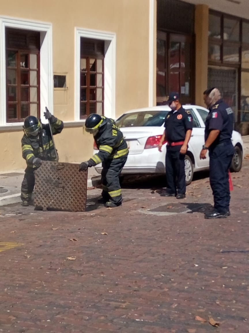 Al lugar llegaron bomberos y personal de la CFE atender el problema