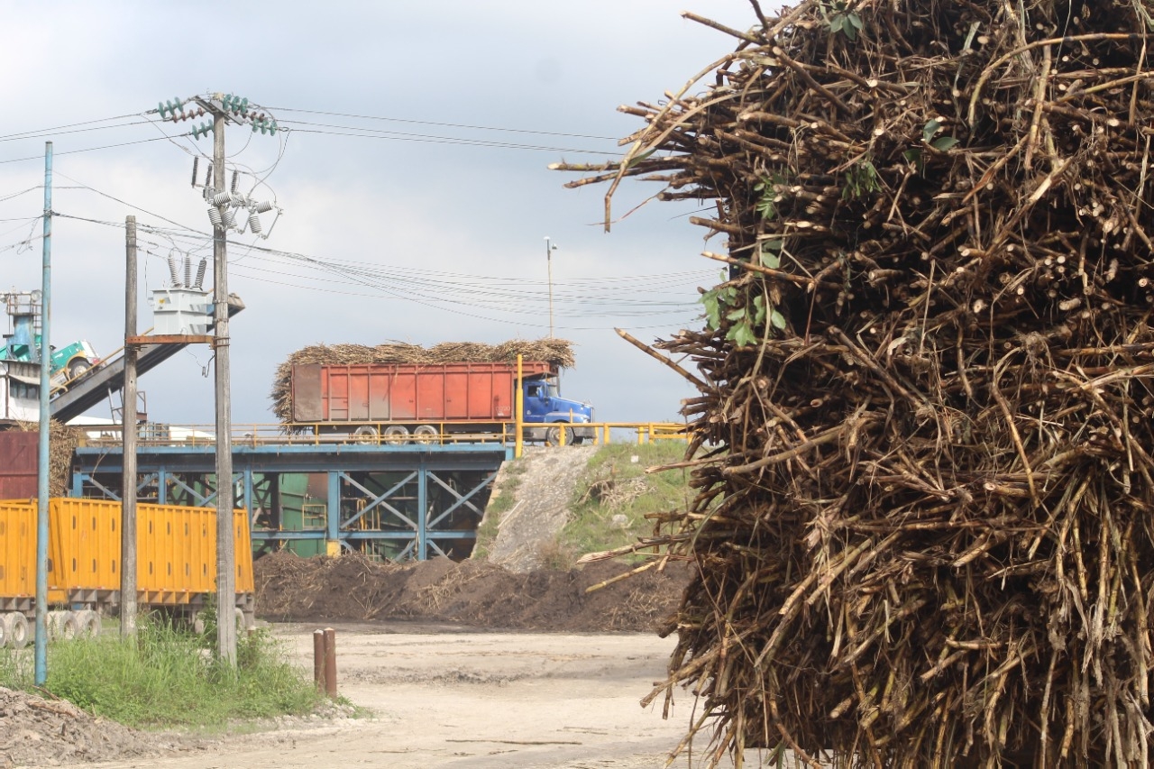 Productores cañeros clausurarán bodegas azucareras en Quintana Roo