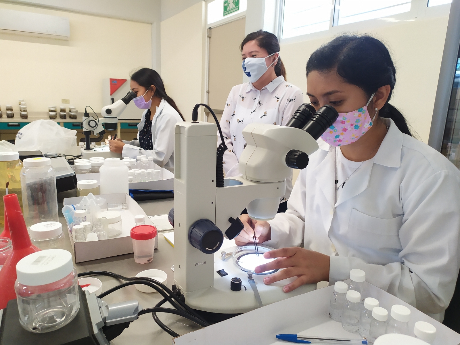 Día Internacional de la Mujer y la Niña en la Ciencia